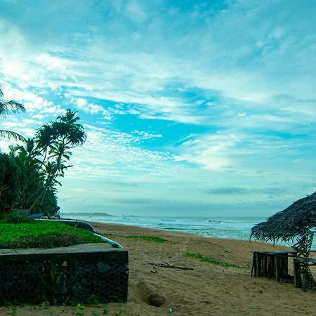 Hikkaduwa Backyard Beach Homestay Galle Exterior foto