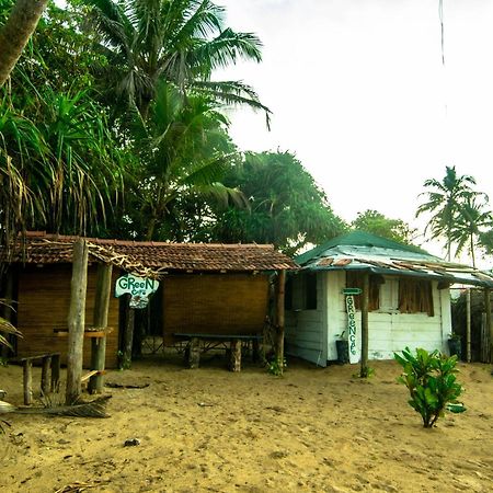 Hikkaduwa Backyard Beach Homestay Galle Exterior foto