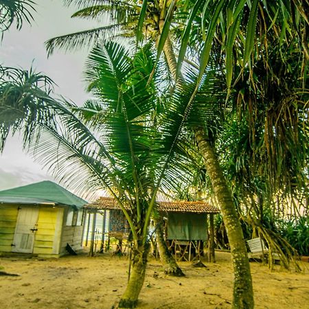 Hikkaduwa Backyard Beach Homestay Galle Exterior foto