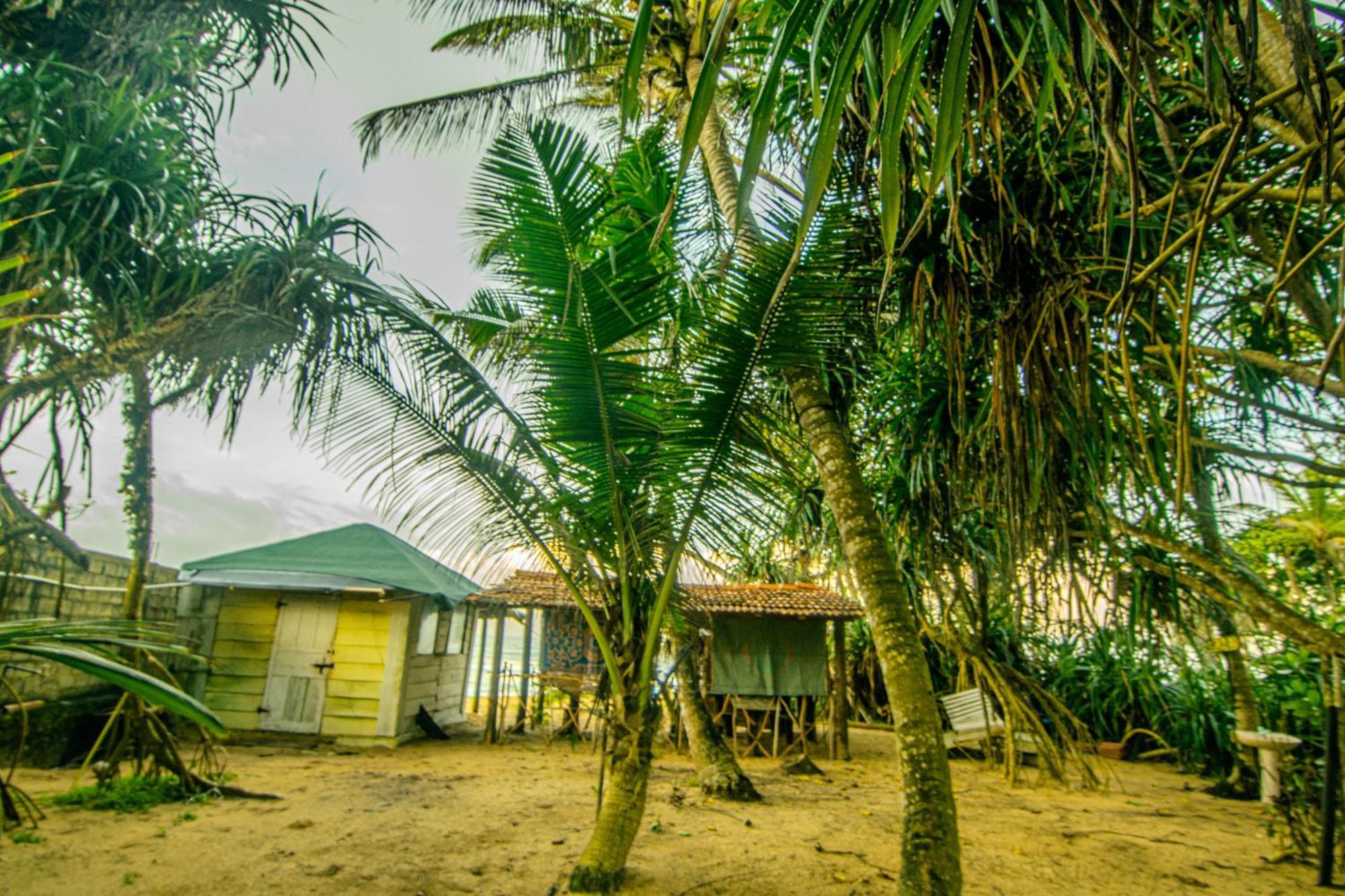 Hikkaduwa Backyard Beach Homestay Galle Exterior foto