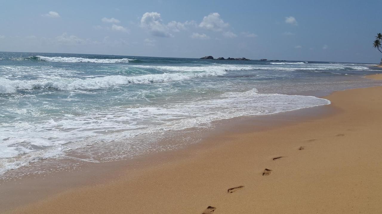 Hikkaduwa Backyard Beach Homestay Galle Exterior foto
