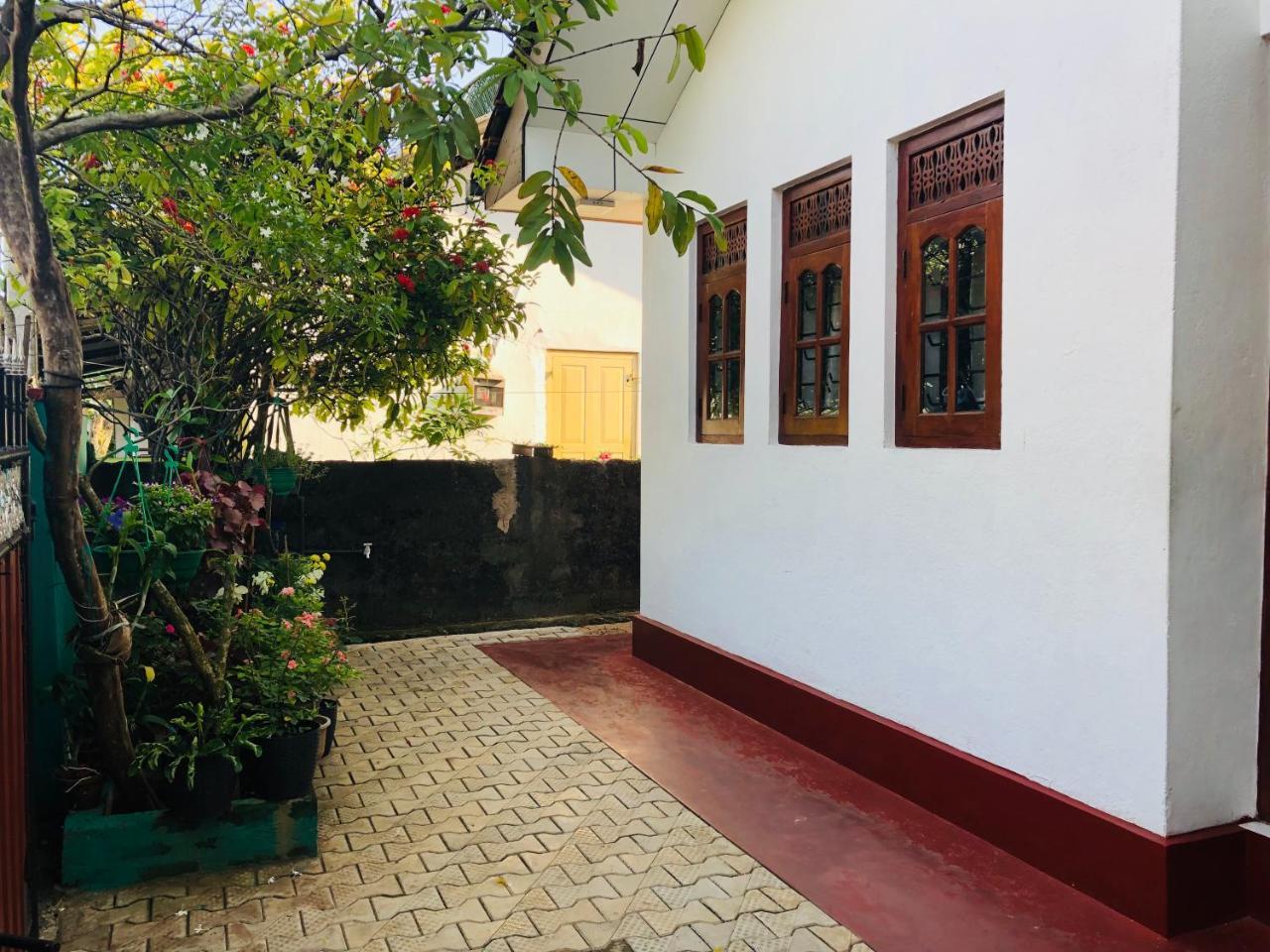Hikkaduwa Backyard Beach Homestay Galle Exterior foto