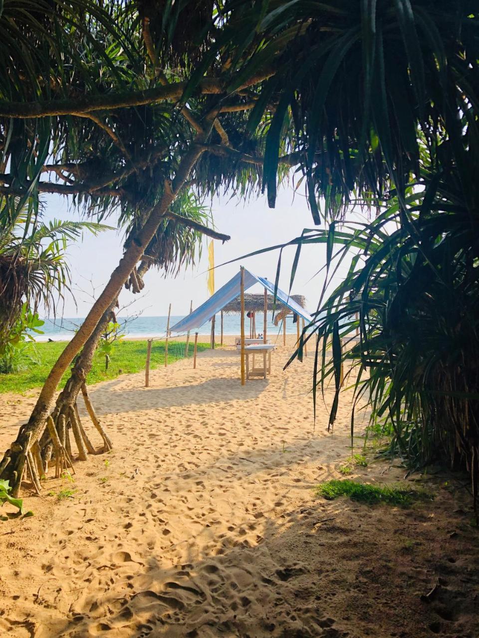 Hikkaduwa Backyard Beach Homestay Galle Exterior foto