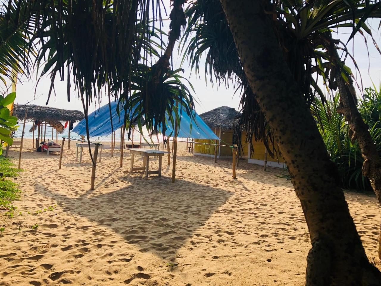 Hikkaduwa Backyard Beach Homestay Galle Exterior foto