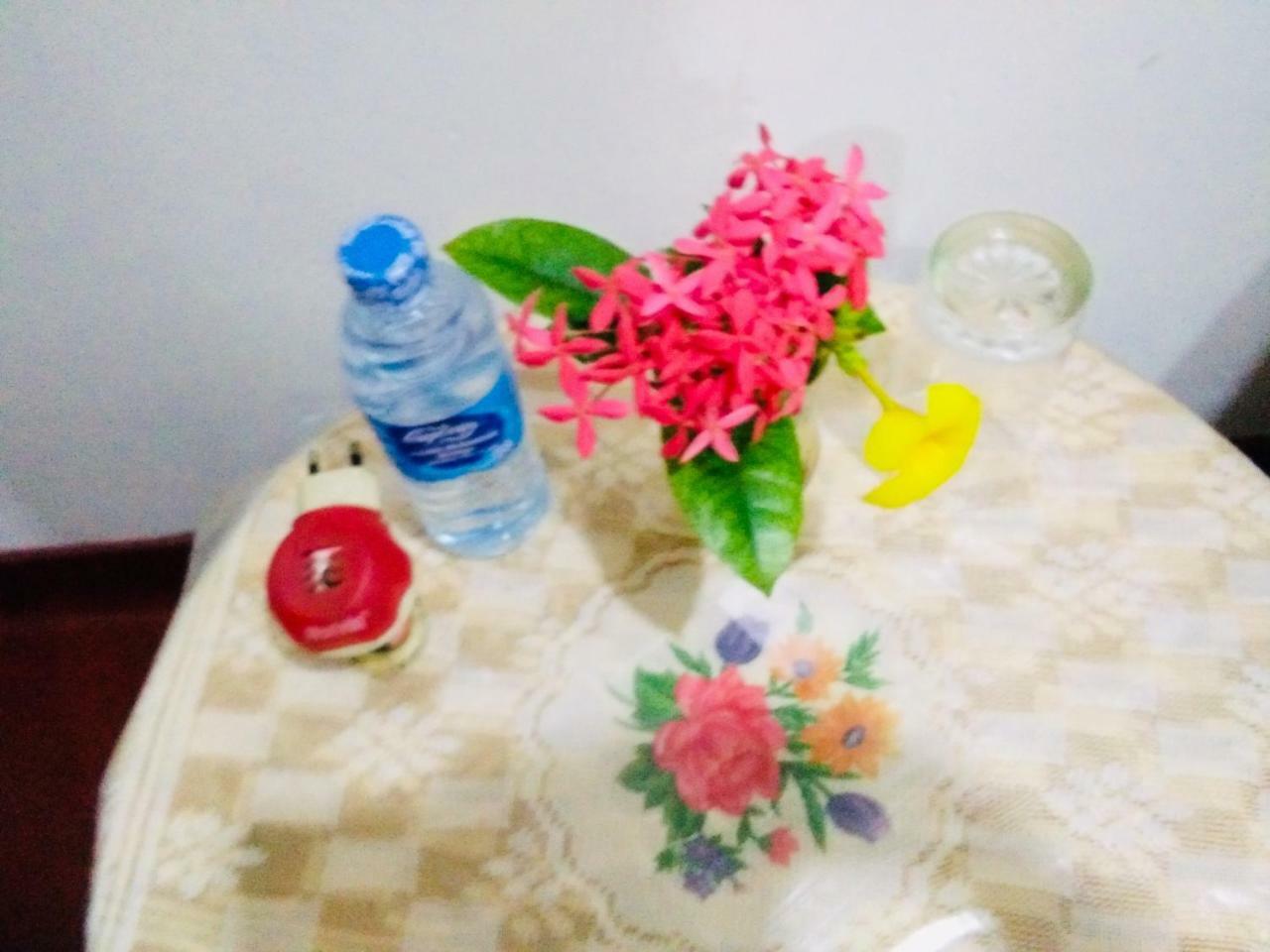 Hikkaduwa Backyard Beach Homestay Galle Exterior foto
