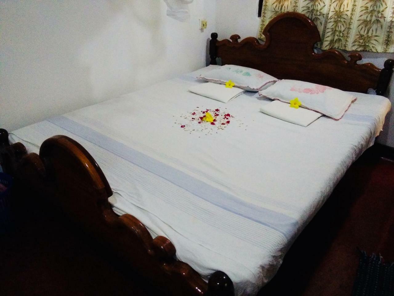 Hikkaduwa Backyard Beach Homestay Galle Exterior foto
