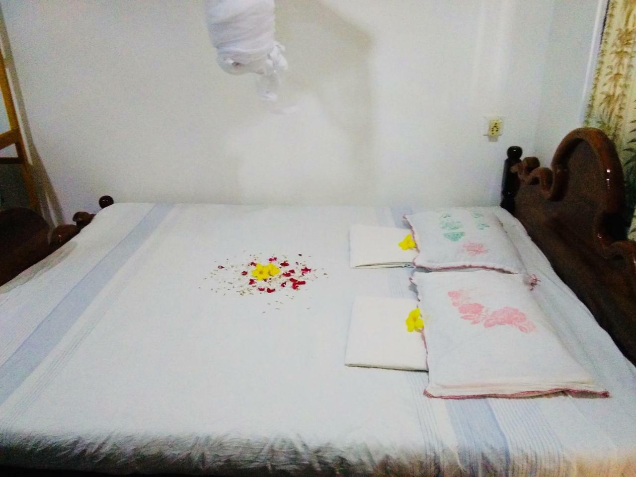 Hikkaduwa Backyard Beach Homestay Galle Exterior foto