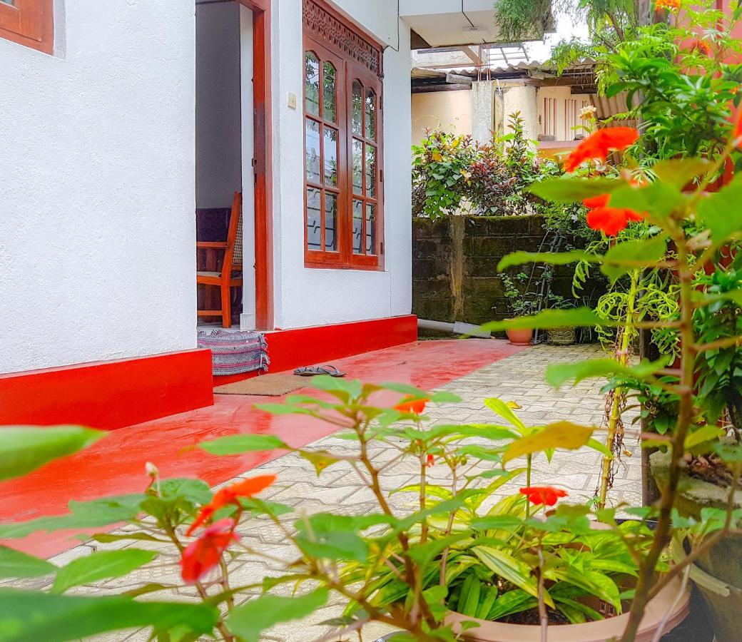 Hikkaduwa Backyard Beach Homestay Galle Exterior foto