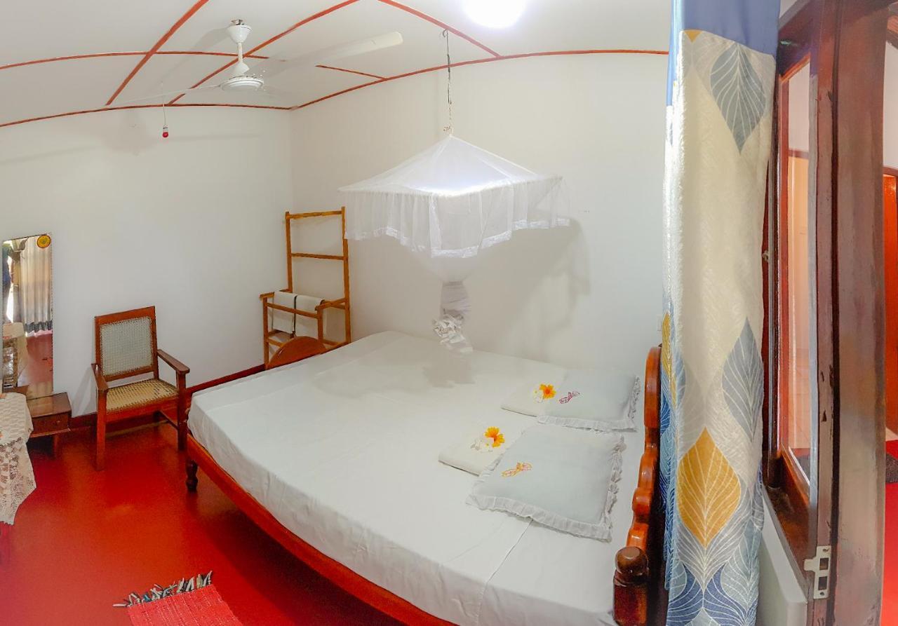 Hikkaduwa Backyard Beach Homestay Galle Exterior foto