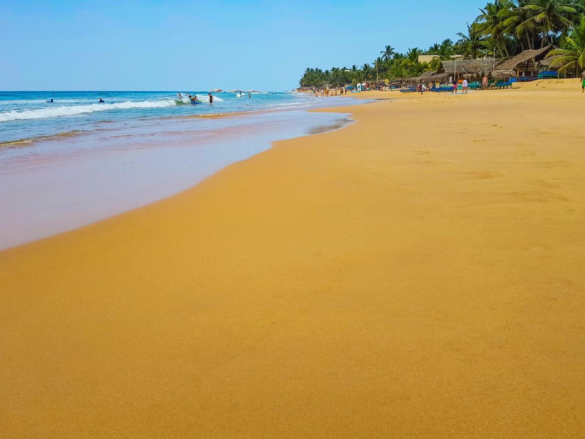 Hikkaduwa Backyard Beach Homestay Galle Exterior foto