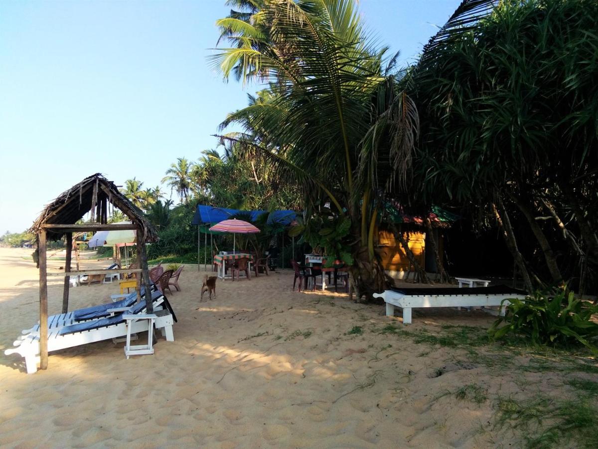 Hikkaduwa Backyard Beach Homestay Galle Exterior foto