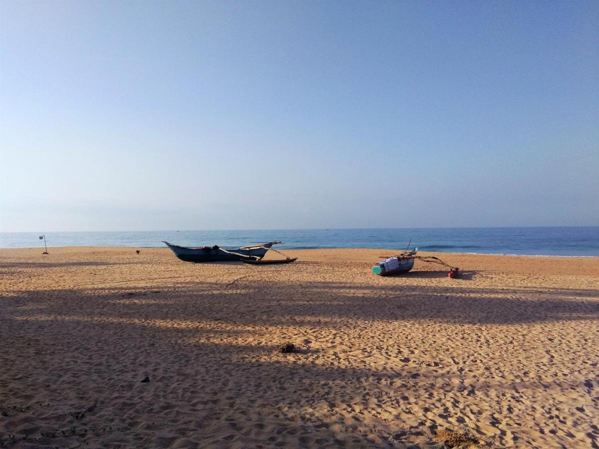 Hikkaduwa Backyard Beach Homestay Galle Exterior foto